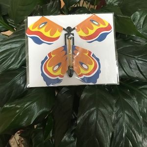 Butterfly Toy Wind and Let Go Book Gift Box and Card Insert Bright Orange Blue